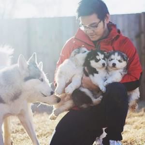 Meet your Posher, Kha